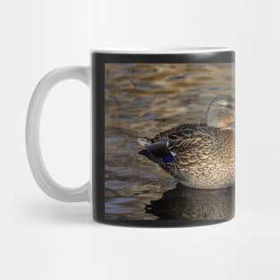 Female Duck Relaxing in the Lake Mug